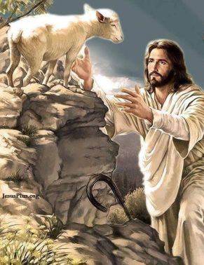 jesus saving lambbde28512652d8296e9a060a2682468ec