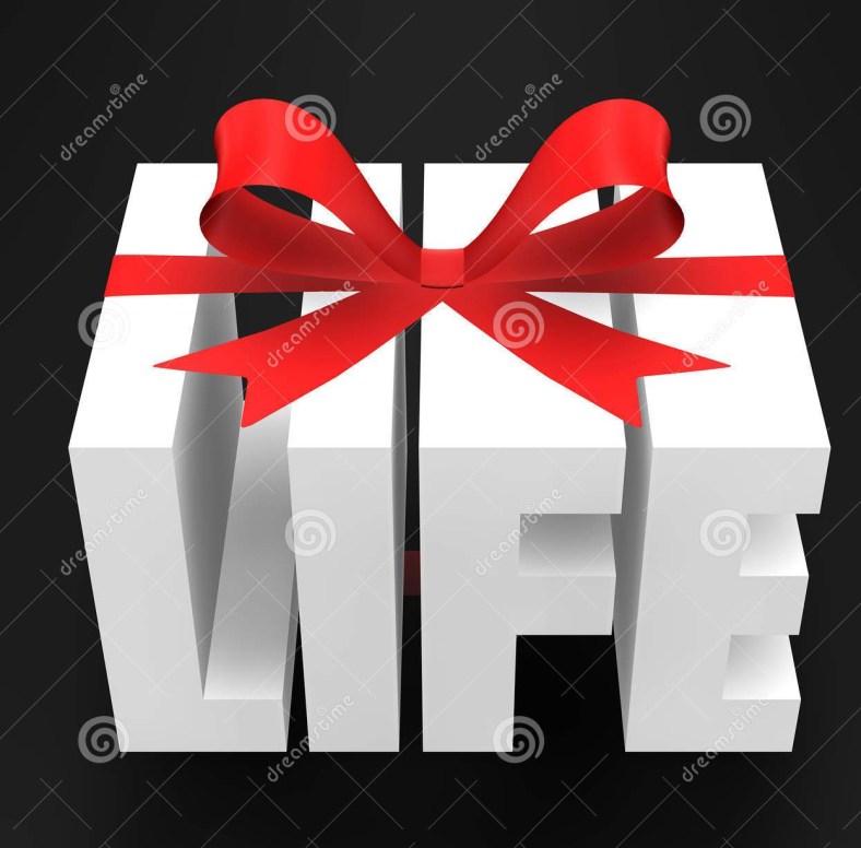 gift-life-20677728.jpg